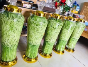 Lưu ý quan trọng để ngâm rượu đòng đòng ngon