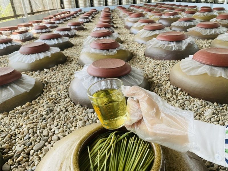 Có phải rượu hạ thổ càng lâu thì càng thơm ngon?