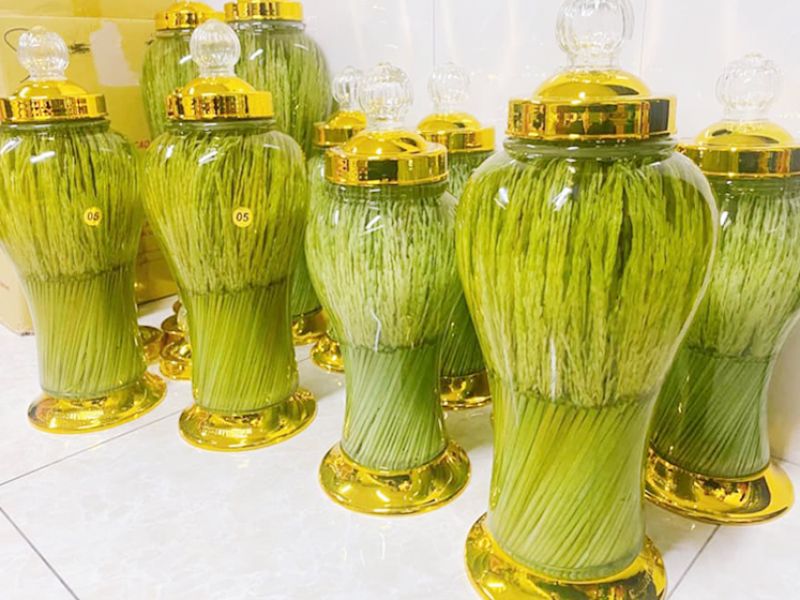 Lưu ý quan trọng để ngâm rượu đòng đòng ngon